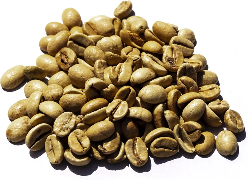 India Arabica Monsooned Malabar AA ASPINWALL - ongebrande koffiebonen - 1 kilo van Café du Jour – productfoto