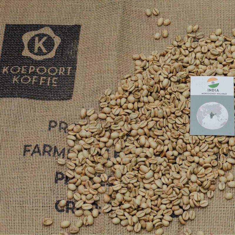 India Monsooned Malabar - ongebrande groene koffiebonen - 1 kg van Koepoort Koffie – productfoto